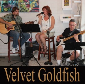 Velvet Goldfish